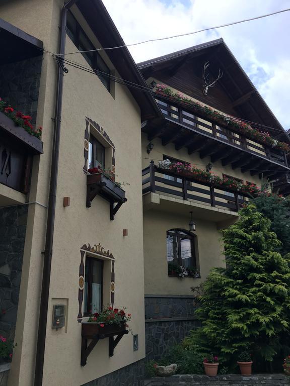 Pension Casa Ali & Andu Buşteni Exterior foto